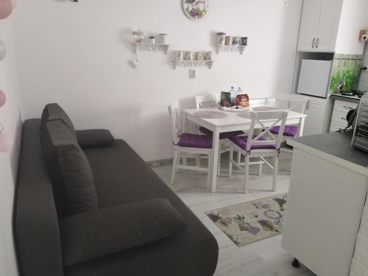 Apartamento La Monica 2 - Cazare Straja - Lupeni - Retezat - Parang Exterior foto